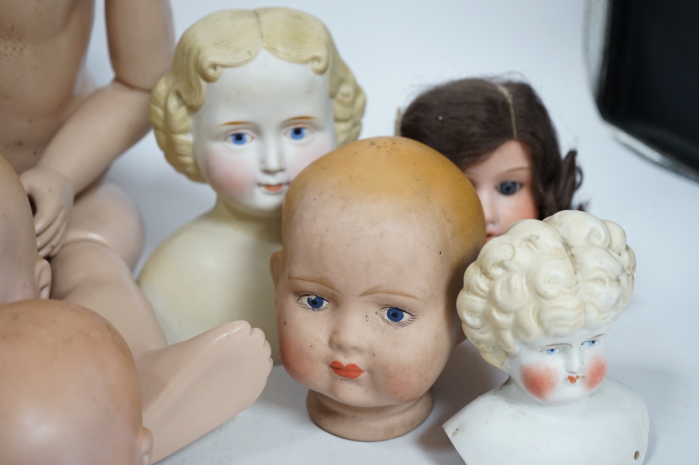 Ten bisque doll's heads and a reproduction Jules Steiner doll